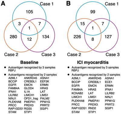 Autoantibody profiling of patients with immune checkpoint inhibitor-associated myocarditis: a pilot study